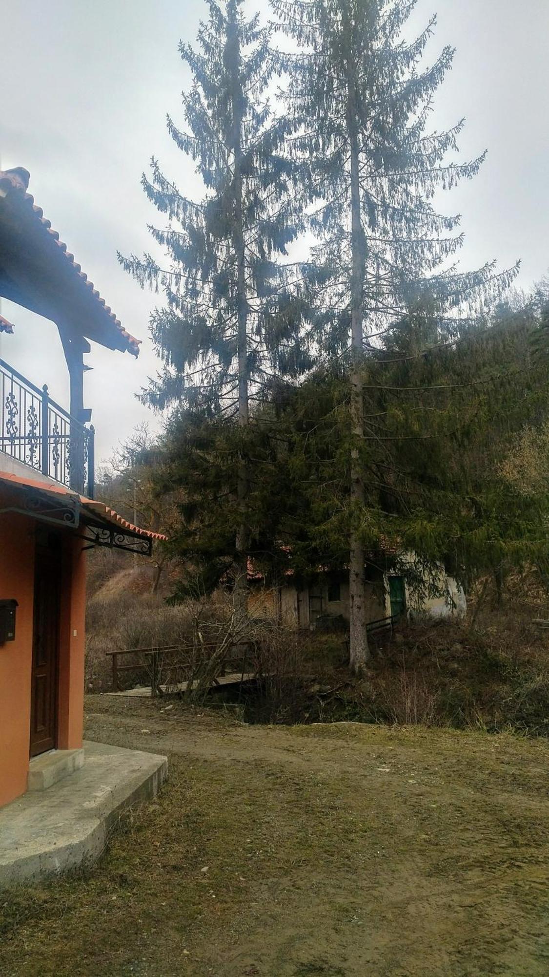 Giusvalla Forest Village Dego Bagian luar foto