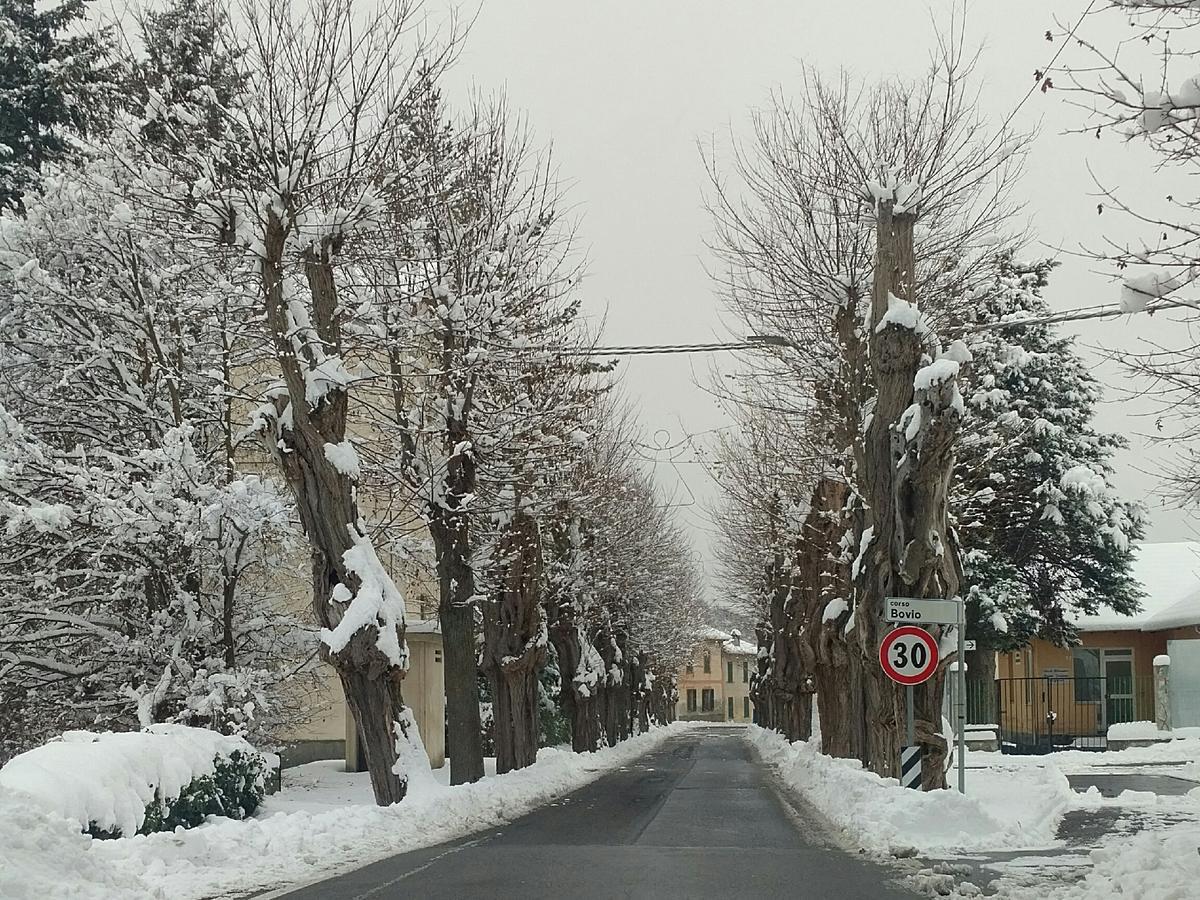 Giusvalla Forest Village Dego Bagian luar foto