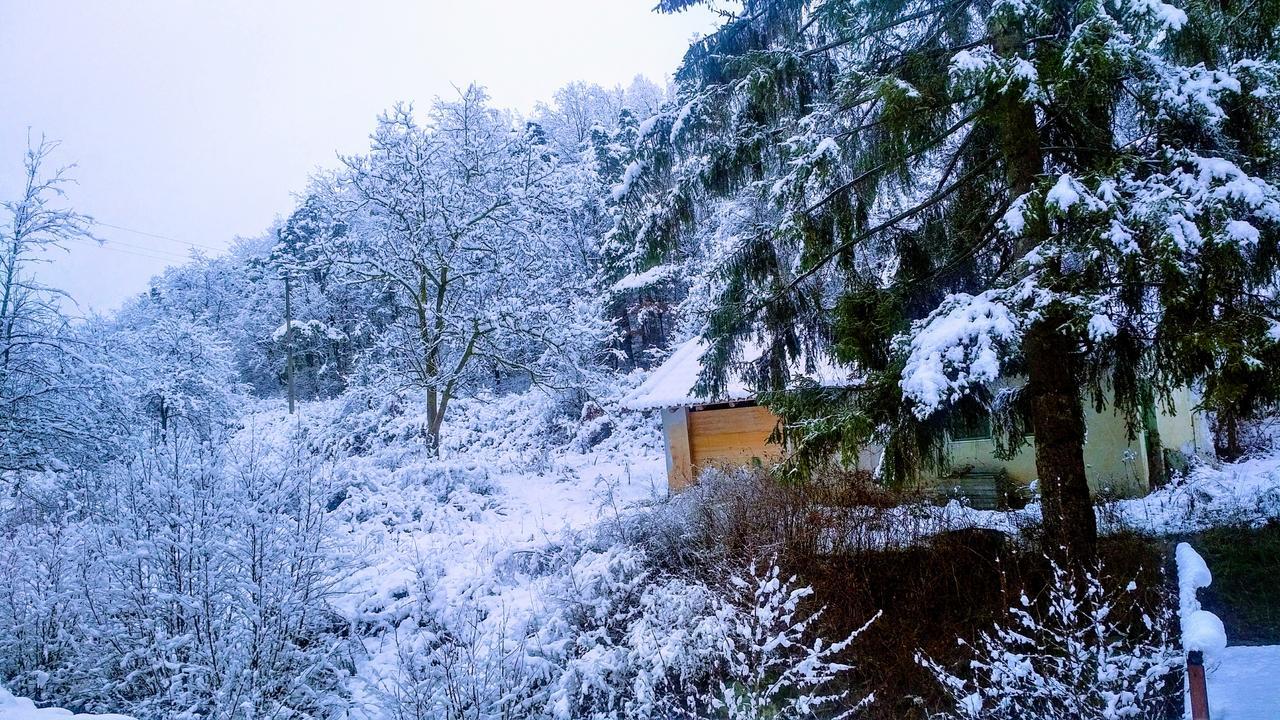 Giusvalla Forest Village Dego Bagian luar foto
